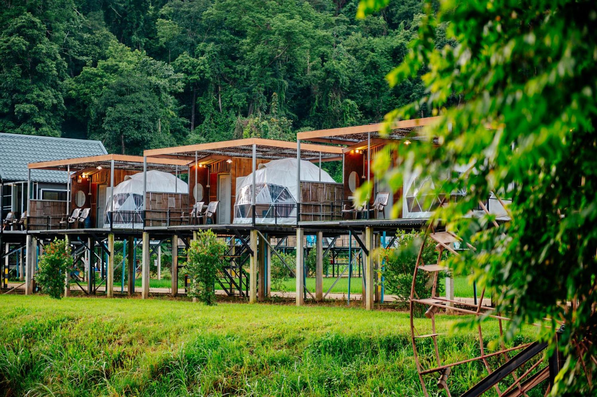 Hotel เนเจอร์วัลเล่ย์แคมป์ ปางมะผ้า Zewnętrze zdjęcie