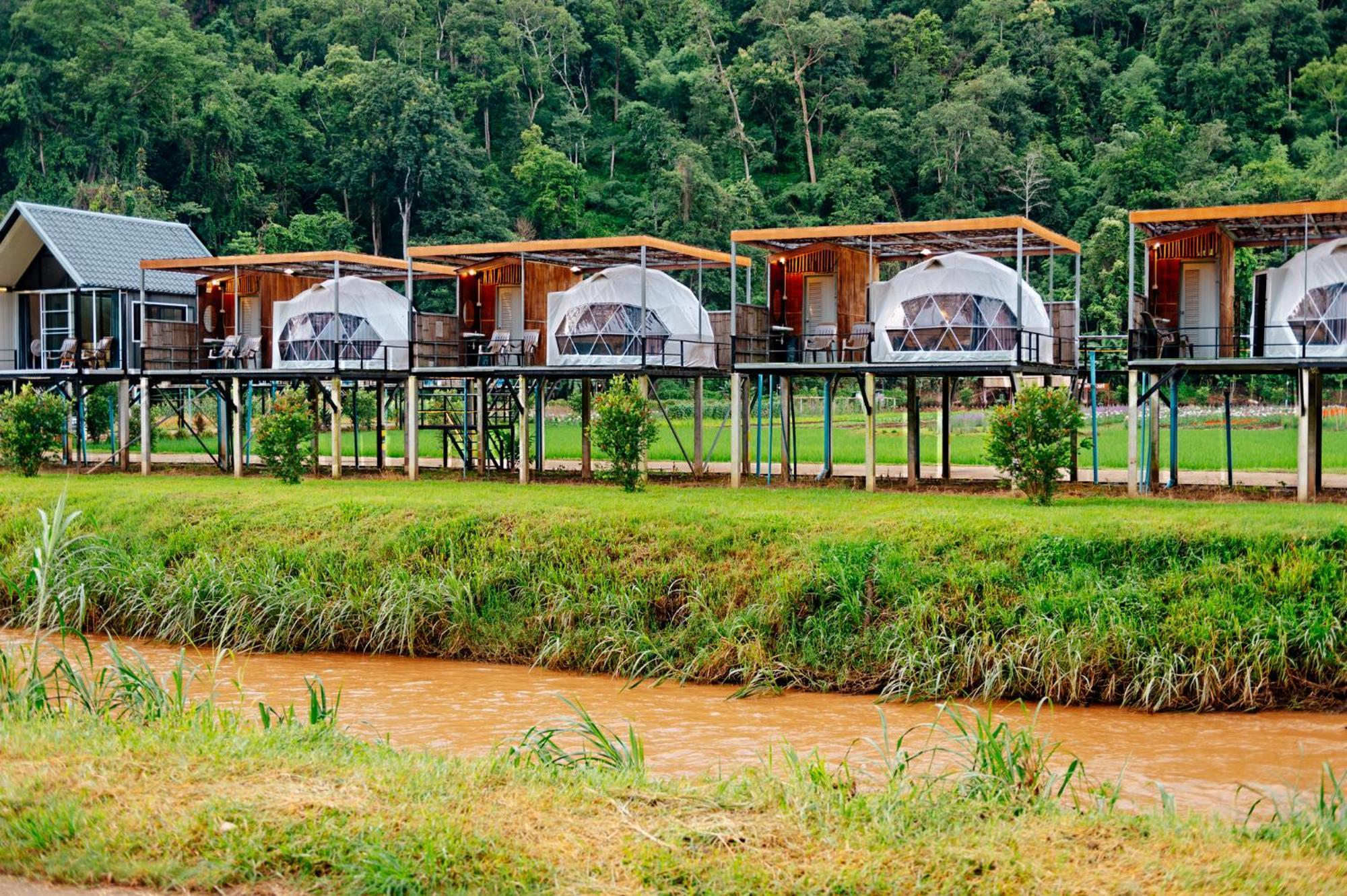 Hotel เนเจอร์วัลเล่ย์แคมป์ ปางมะผ้า Zewnętrze zdjęcie
